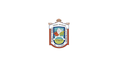 Flag of El Llano
