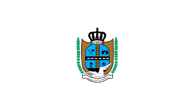 Flag of the municipality of Panuco de Coronado