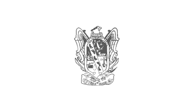 Flag of the municipality of Mocorito